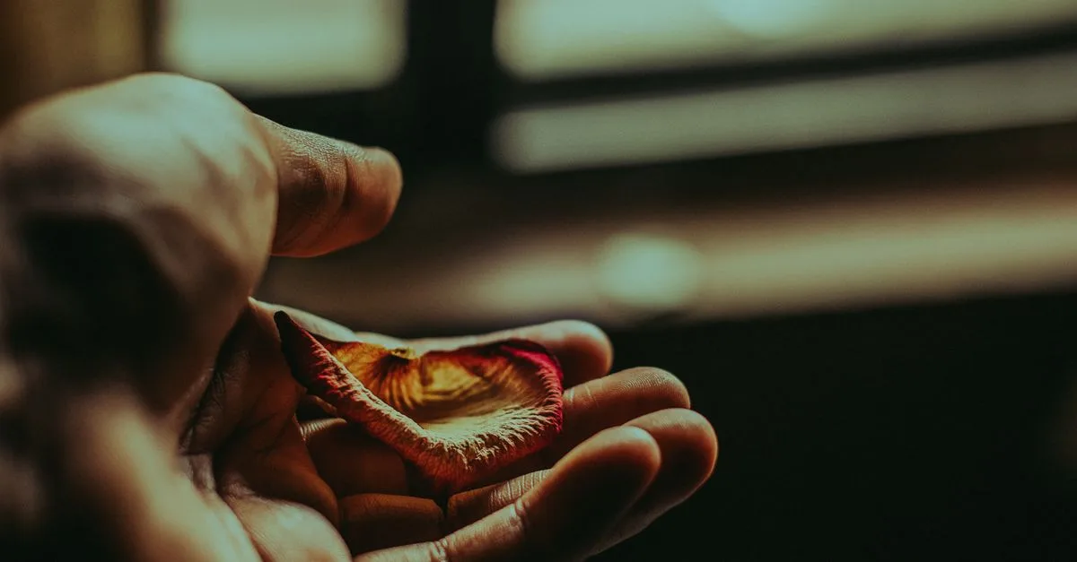 découvrez l'art de lâcher prise pour mieux vivre, trouver la paix intérieure et avancer sereinement dans votre vie.