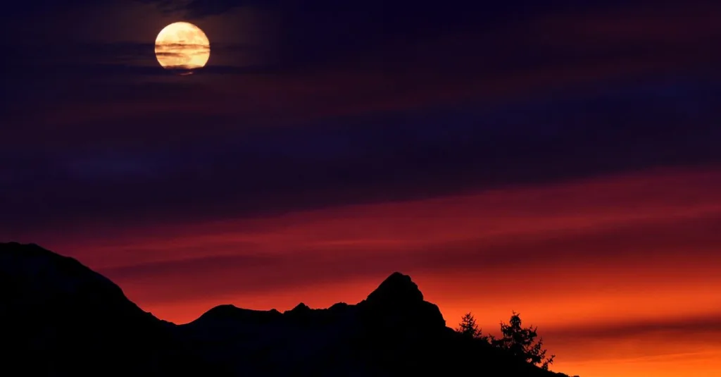 découvrez les causes et solutions des réveils nocturnes pour améliorer la qualité de votre sommeil et retrouver des nuits paisibles.