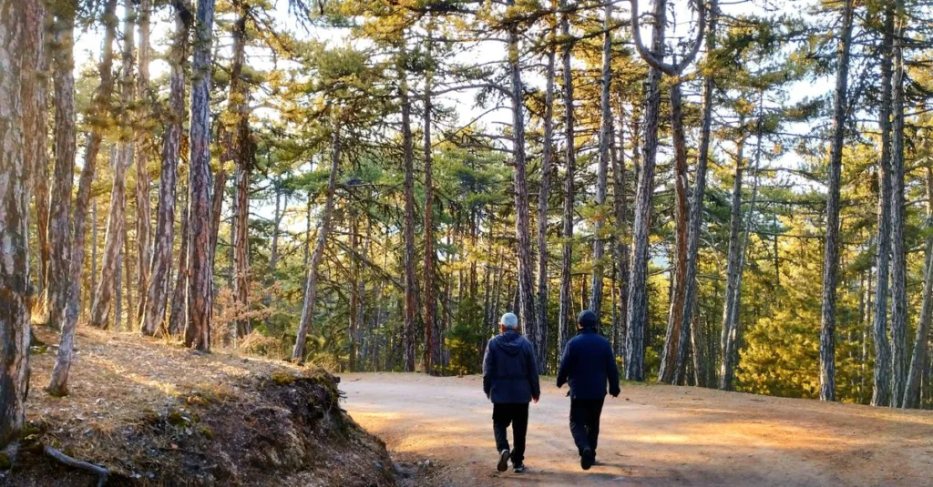 découvrez la sophro-walking, une méthode alliant sophrologie et marche consciente pour améliorer votre bien-être physique et mental.